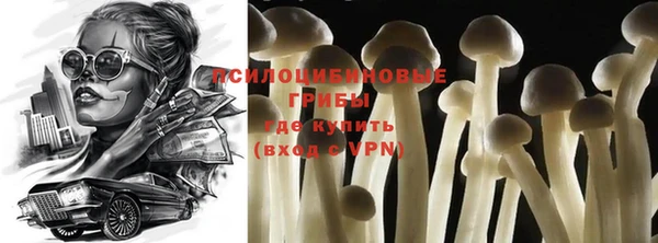 стаф Бронницы