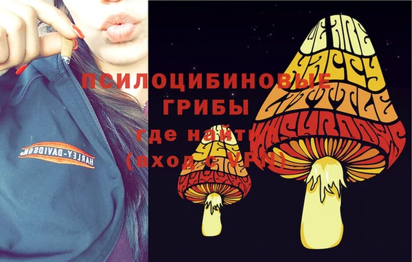 а пвп мука Бородино