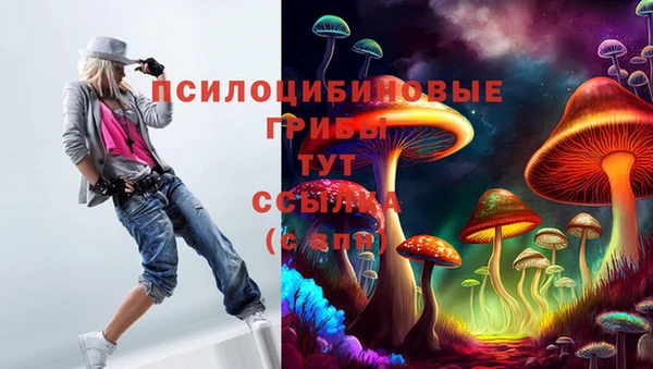 spice Верея