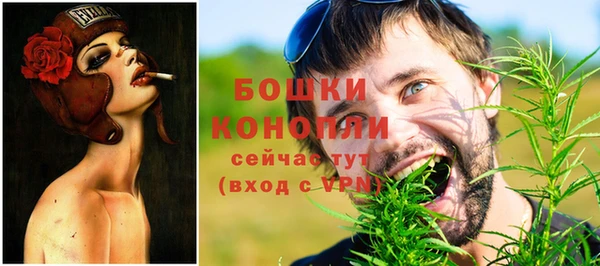 spice Верея