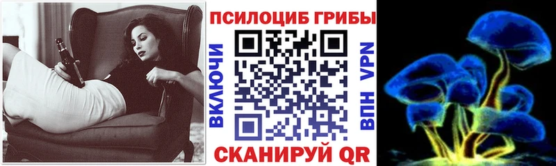 Купить закладки  Шали  Галлюциногенные грибы Psilocybine cubensis 